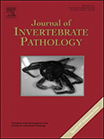 Publication